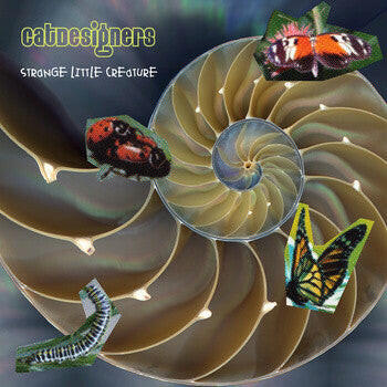 Catdesigners – Strange Little Creature