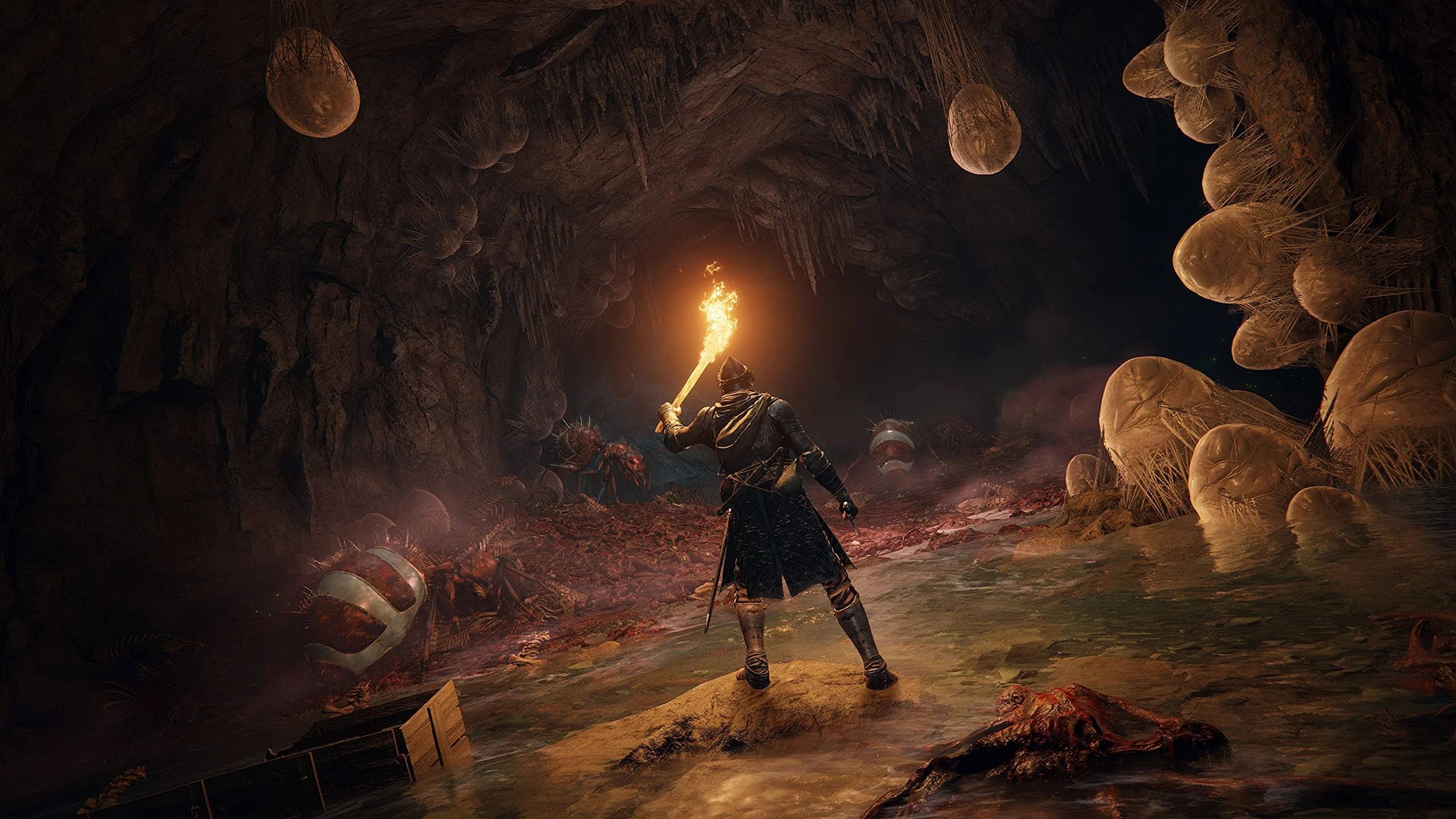 Elden Ring (Xbox One/Series X) - Image 5