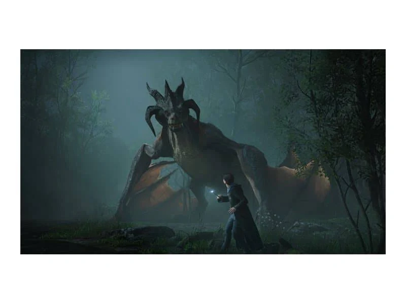 Hogwarts Legacy - Nintendo Switch - Image 2