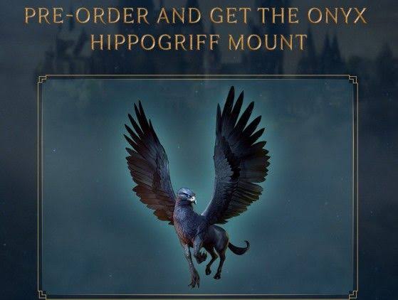 Hogwarts Legacy - Nintendo Switch - Image 4