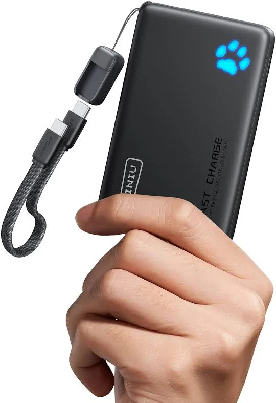 INIU 45W Power Bank - 10,000mAh - Great Yarmouth