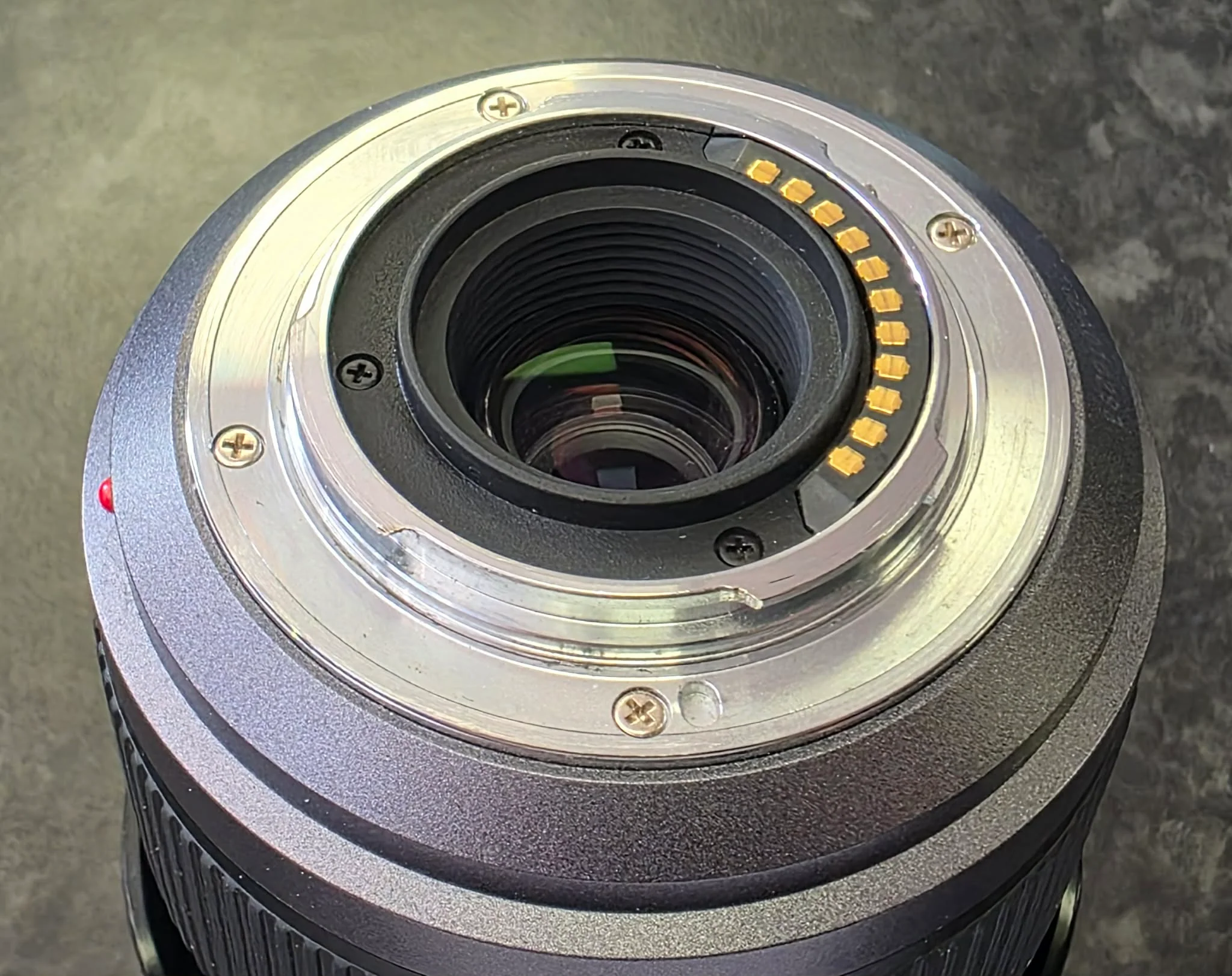 Panasonic Lumix 45-200mm F/4-5.6 Micro - Image 3