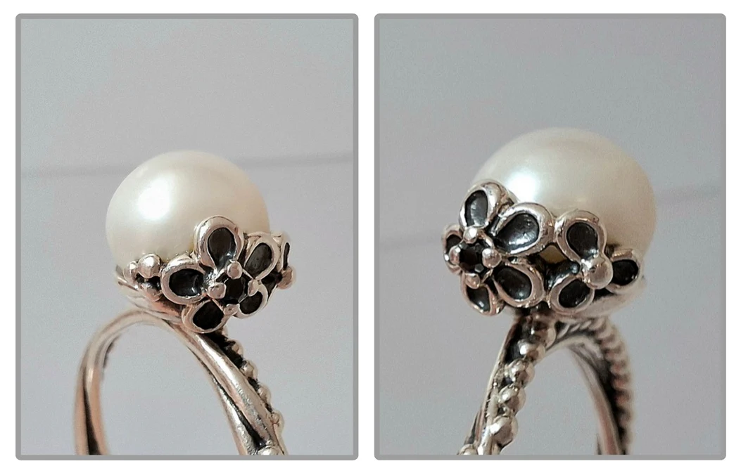 Pandora Garden Odyssey Ring Size 60 - Image 3