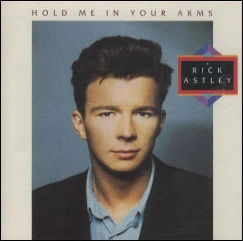 Rick Astley Hold Me in Your Arms - Image 2