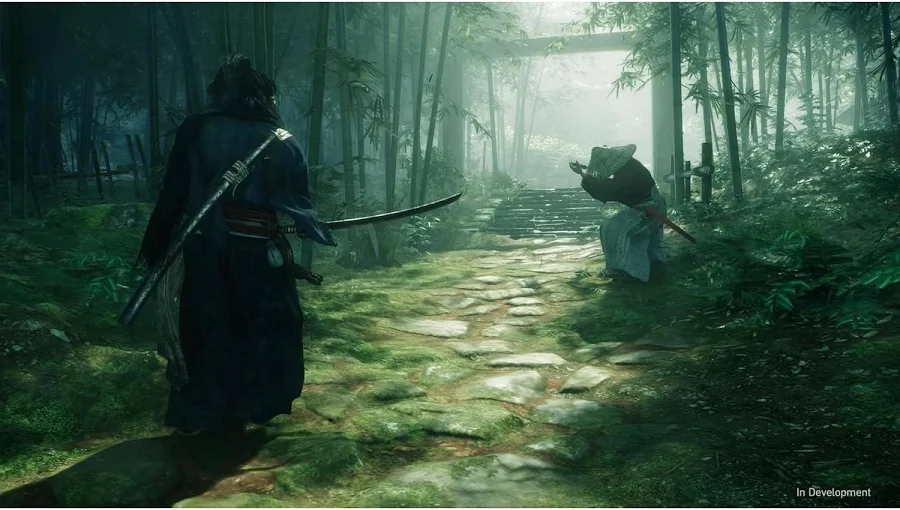Rise of the Ronin - Image 4