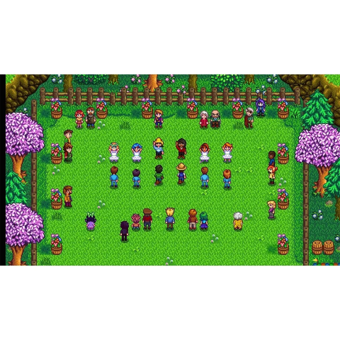 Stardew Valley - Switch - Image 4