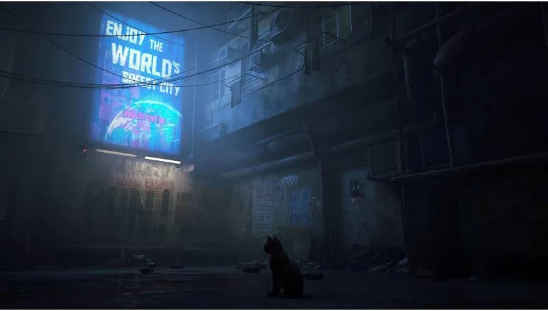 Stray - Image 3