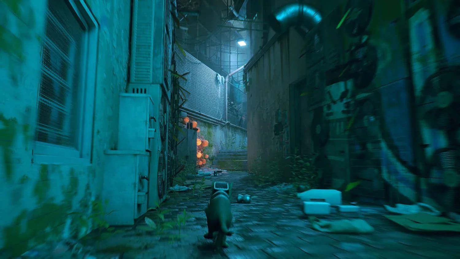Stray (PS4) - Image 5