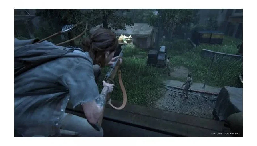 The Last of US Part II - Image 2