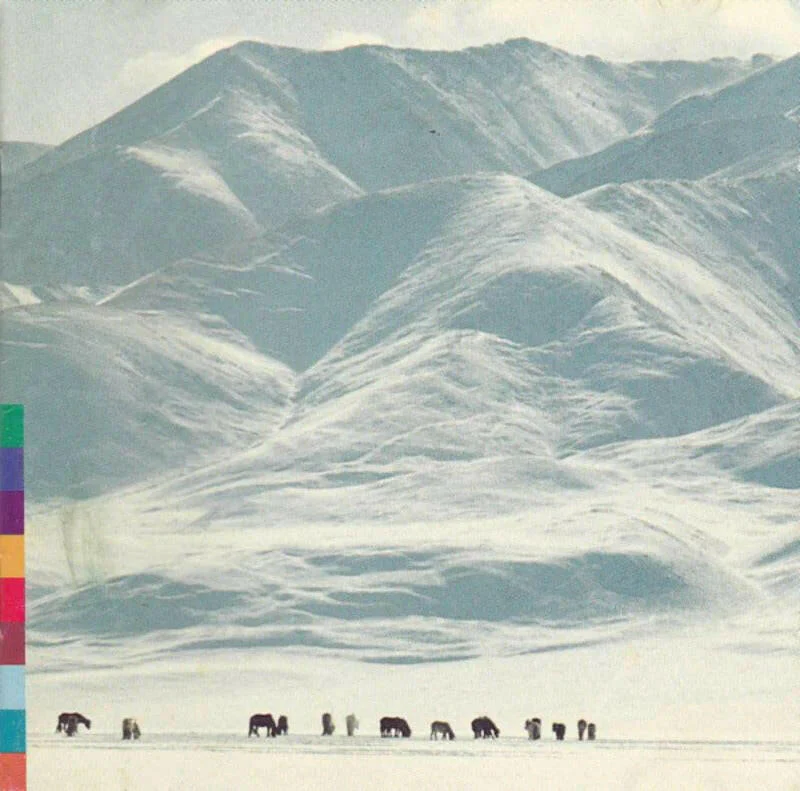Voices from The Distant Steppe - Shu-De - CD